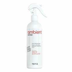 TEFIA Ambient Спрей-стабилизатор процедуры окрашивания волос / Service Color Stabilizing Spray, 500 мл 22286-41618 - фото 14782970