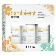 TEFIA Ambient Набор для ухода за поврежденными волосами / Revival Damage Hair Care Kit, 250 мл x 3 23505-65006