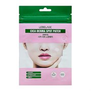 Lebelage Патчи от прыщей с экстрактом центеллы / Cica Derma Spot Patch, 10 мм, 40 наклеек 27771-73296