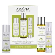 Aravia Laboratories Набор для ухода за проблемной кожей: энзимная пудра, тоник, крем-сыворотка для лица / Anti-Acne Complex, 150 мл, 250 мл, 50 мл 27698-72641
