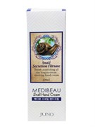 MEDIBEAU Крем для рук с экстрактом слизи улитки / Snail Hand Cream, 100 мл 25389-75859