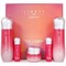 Jigott Набор увлажняющих средств для лица: тонер, эмульсия, крем / Signature Collagen Essential Skin Care 3 Set 23131-64407 - фото 14779787
